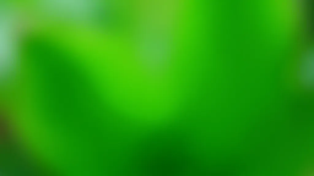 Close-up of healthy green plant leaves with water droplets, demonstrating proper plant hydration and care, detailed botanical photography